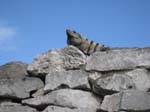 IMG_0216