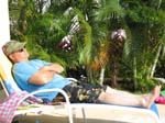 IMG_0596